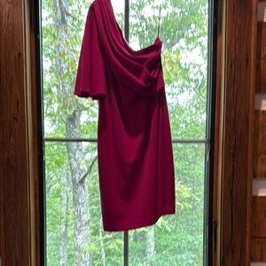Badgley Mischka Fuchsia Dress